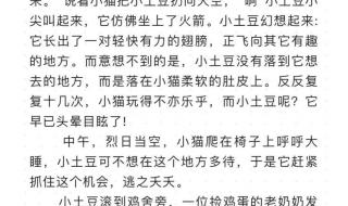 奇妙的想象作文300字左右